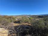 875 Lake Canyon - Photo 3
