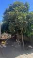 1944 Atlin Street - Photo 2