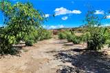 39145 Calle Cordova - Photo 12