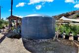 39145 Calle Cordova - Photo 24