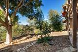 14015 Calle De Vista - Photo 50
