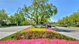 31232 Via Colinas - Photo 35