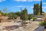 29060 Palm View Street - Photo 46