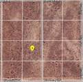 0 Sequoia - Photo 2