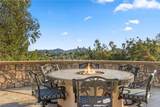31345 Avenida Del Reposo - Photo 73