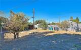 1031 Ford Street - Photo 38