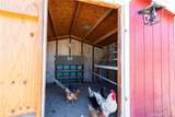 10971 Adobe Road - Photo 41