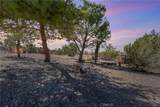 10971 Adobe Road - Photo 46