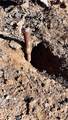 47229238 Quarry - Photo 21
