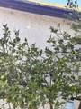 18090 Iris Avenue - Photo 33