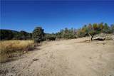37112 Adams Trail - Photo 23