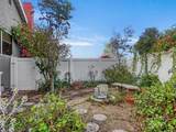 921 Calle Pinata - Photo 39