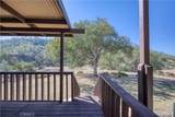 2840 Black Horse Lane - Photo 16