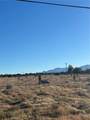 0 Shasta - Photo 7