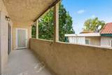 3435 Capalina Drive - Photo 18