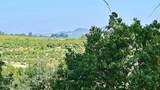 0 Manzanillo - Photo 23