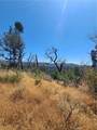 0 Hog Ranch Road - Photo 4