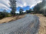 0 Hangtree - Photo 1
