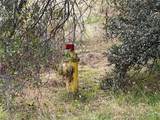 0 Hangtree - Photo 2