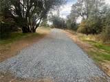 0 Hangtree - Photo 3