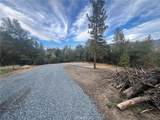 0 Hangtree - Photo 7