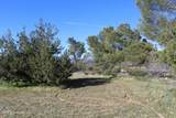 4190 Quatal Canyon - Photo 12