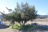 4190 Quatal Canyon - Photo 19