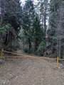 0 Fleming Creek - Photo 13