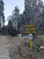 0 Fleming Creek - Photo 14