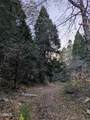 0 Fleming Creek - Photo 8