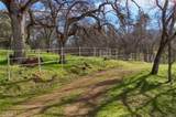 160 Ac Cotton Creek Rd - Photo 14
