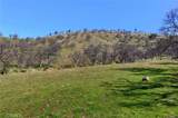 160 Ac Cotton Creek Rd - Photo 19