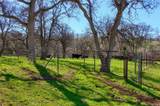 160 Ac Cotton Creek Rd - Photo 3