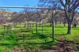 160 Ac Cotton Creek Rd - Photo 5