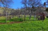 160 Ac Cotton Creek Rd - Photo 6