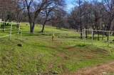 160 Ac Cotton Creek Rd - Photo 7