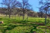 160 Ac Cotton Creek Rd - Photo 8