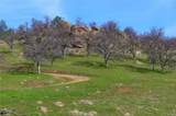 160 Ac Cotton Creek Rd - Photo 9