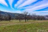 160 Ac Cotton Creek Rd - Photo 10