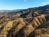 2170 Aliso Park Road - Photo 48