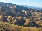 2170 Aliso Park Road - Photo 50