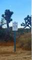 56200 Skyline Ranch - Photo 12