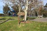 3109 Madera Court - Photo 6