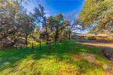 40733 Big Oak Flat - Photo 44