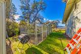 40733 Big Oak Flat - Photo 59