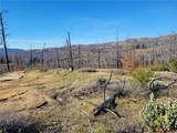 161 Shadow Creek - Photo 18