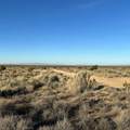0 Centola - Photo 2