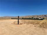 0 Mambe - Photo 9