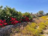22285 Old Elsinore - Photo 6