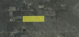 12 Mojave-Tropico - Photo 4
